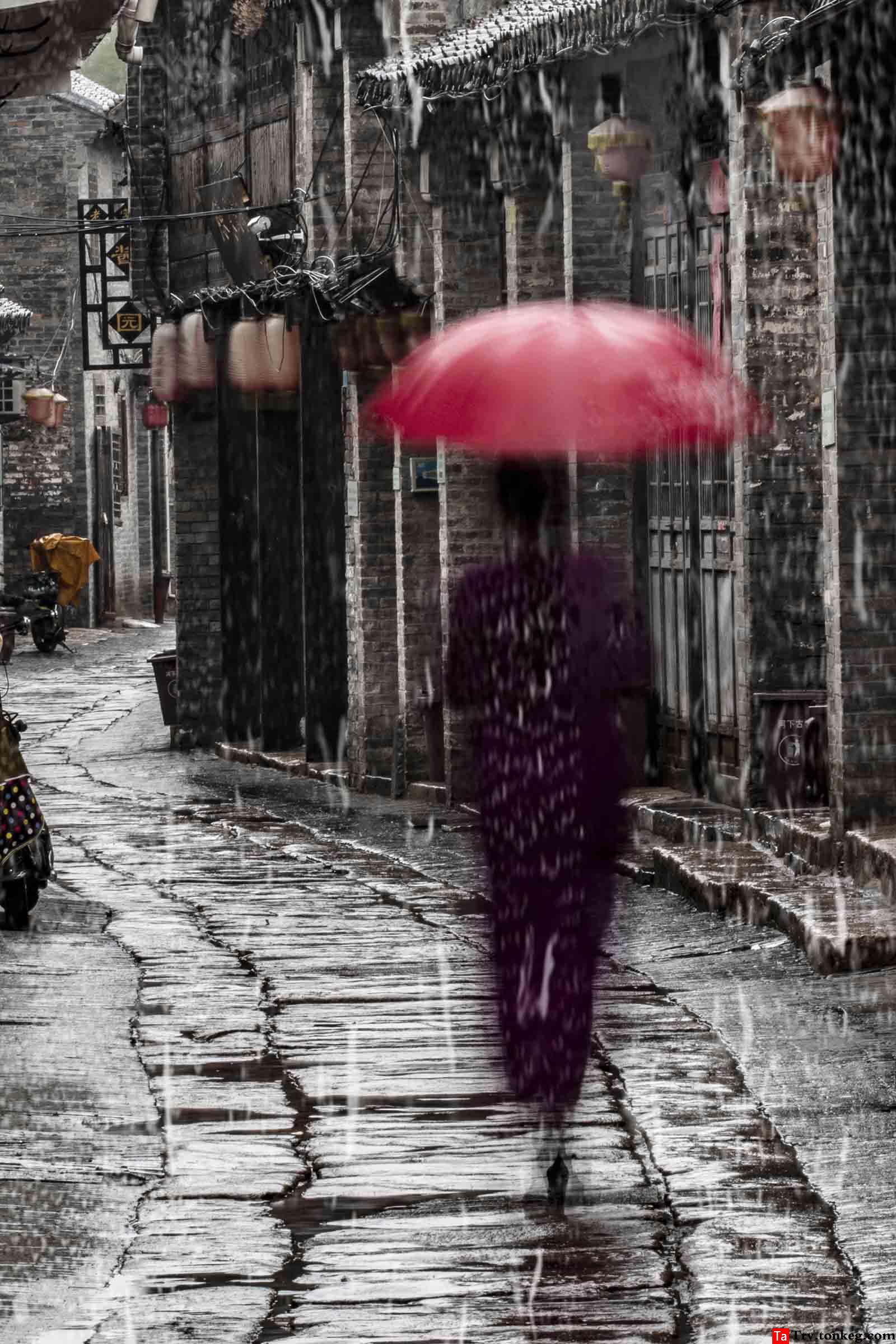 雨巷撑伞的女孩高清图片下载-正版图片500679936-摄图网