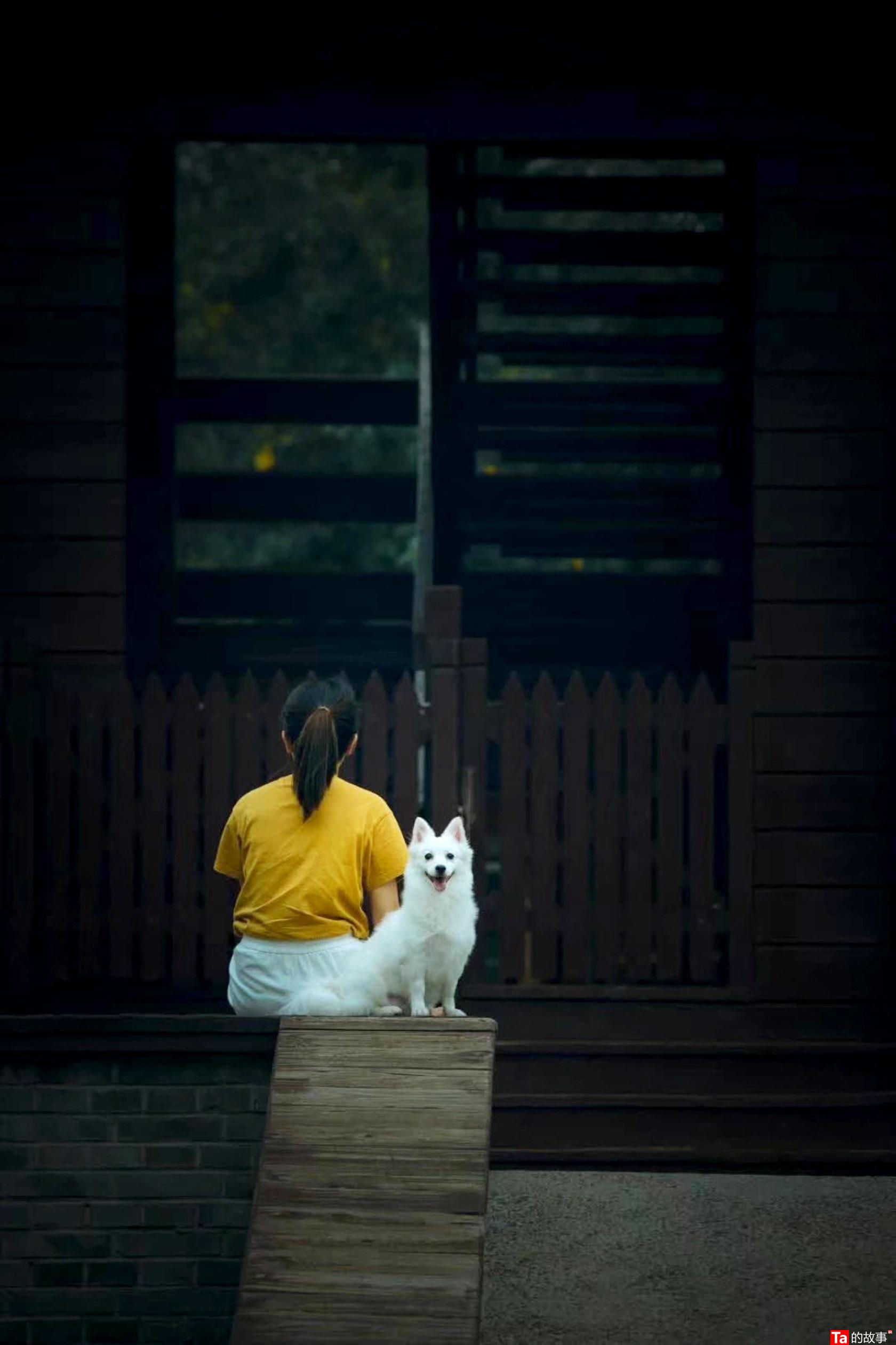 主要展现宠物的照片 少女与阿柴 和狗勾一起踏青去|摄影|宠物摄影|kadly - 原创作品 - 站酷 (ZCOOL)